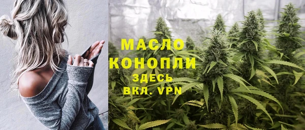 спиды Бородино